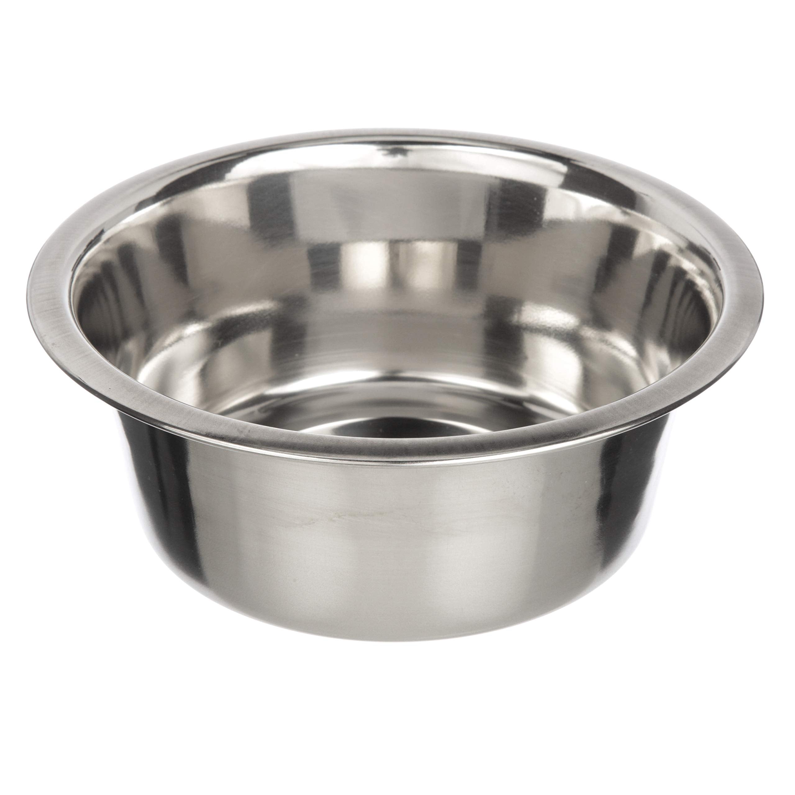 Neater Pet Brands bol inox face montrant ajustement stable et solidité