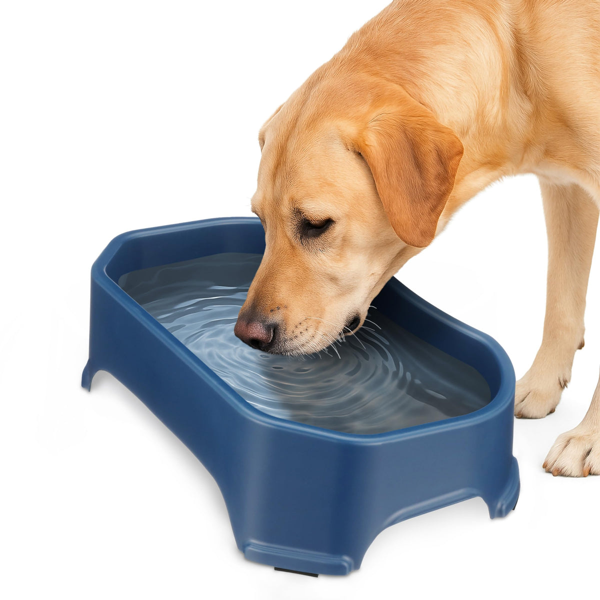 Neater Pet Brands gamelle avant montrant grande capacité et stabilité