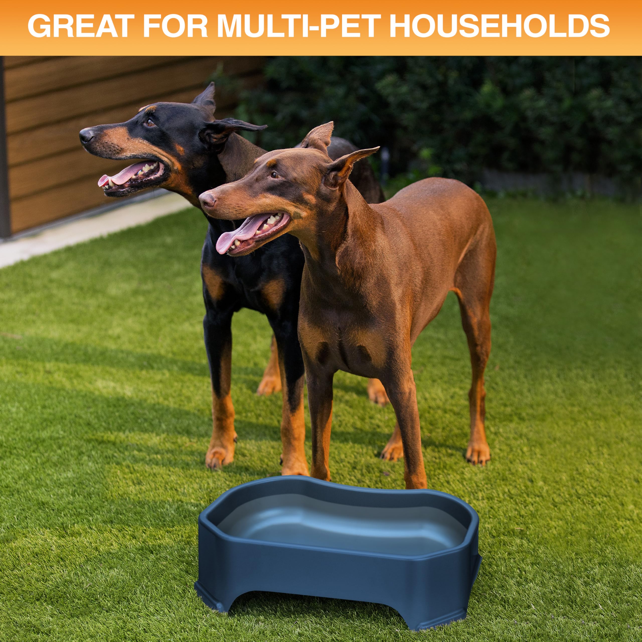 Neater Pet Brands pieds antidérapants assurant stabilité et protection sol