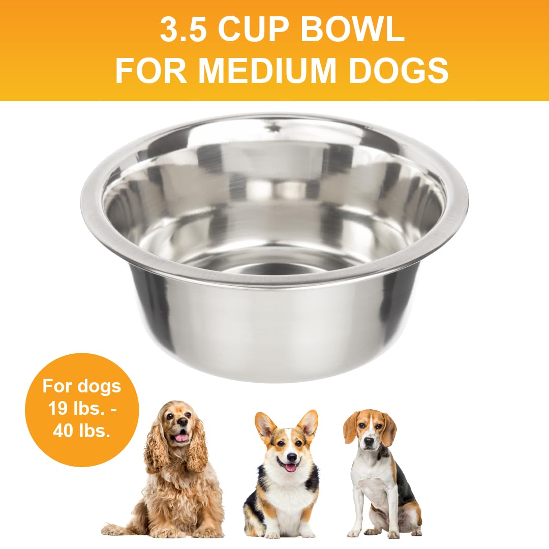 Neater Pet Brands gros plan sur le bord en inox, facile à nettoyer