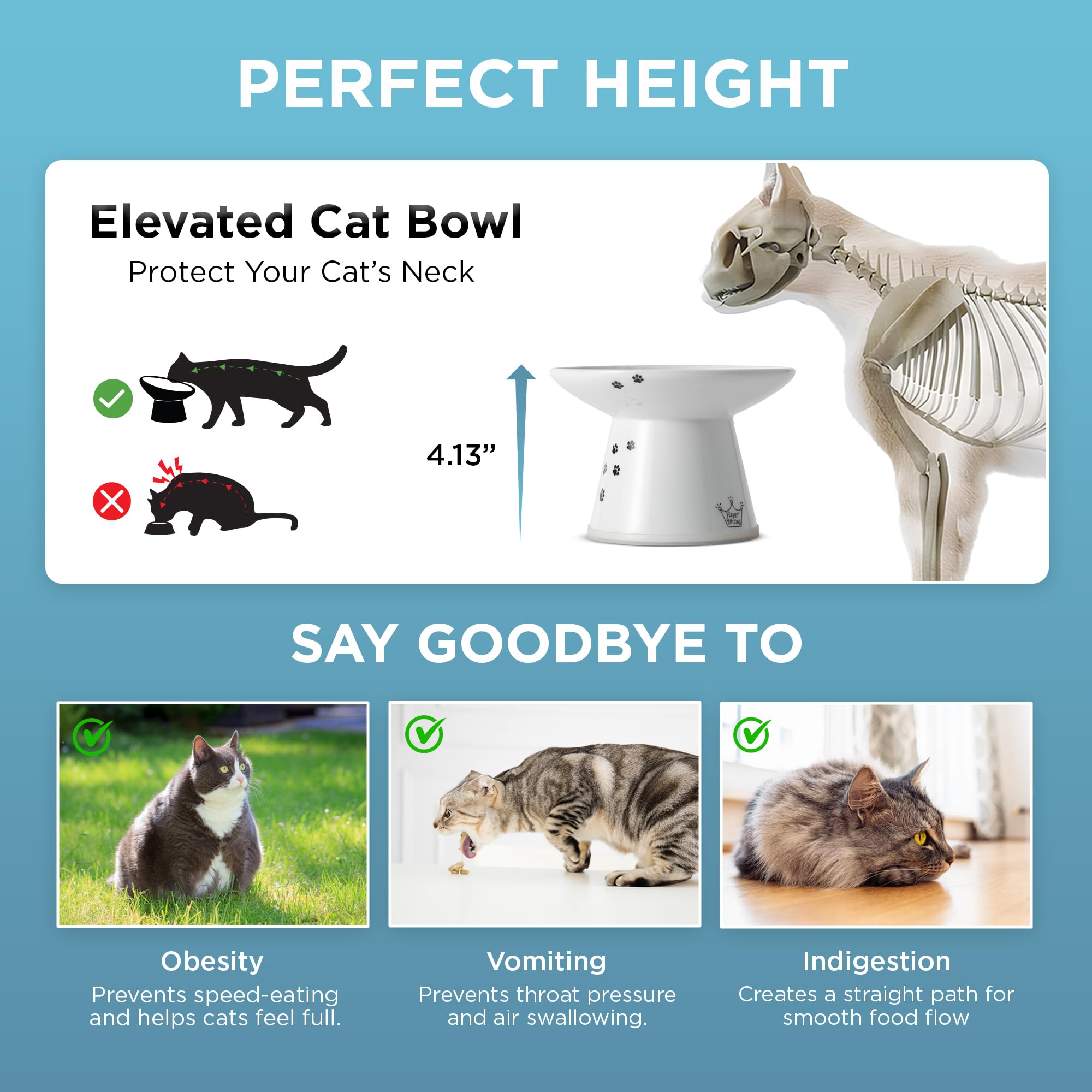 猫壱 Necoichi bol avec pâtée montrant facilité d'accès pour le chat