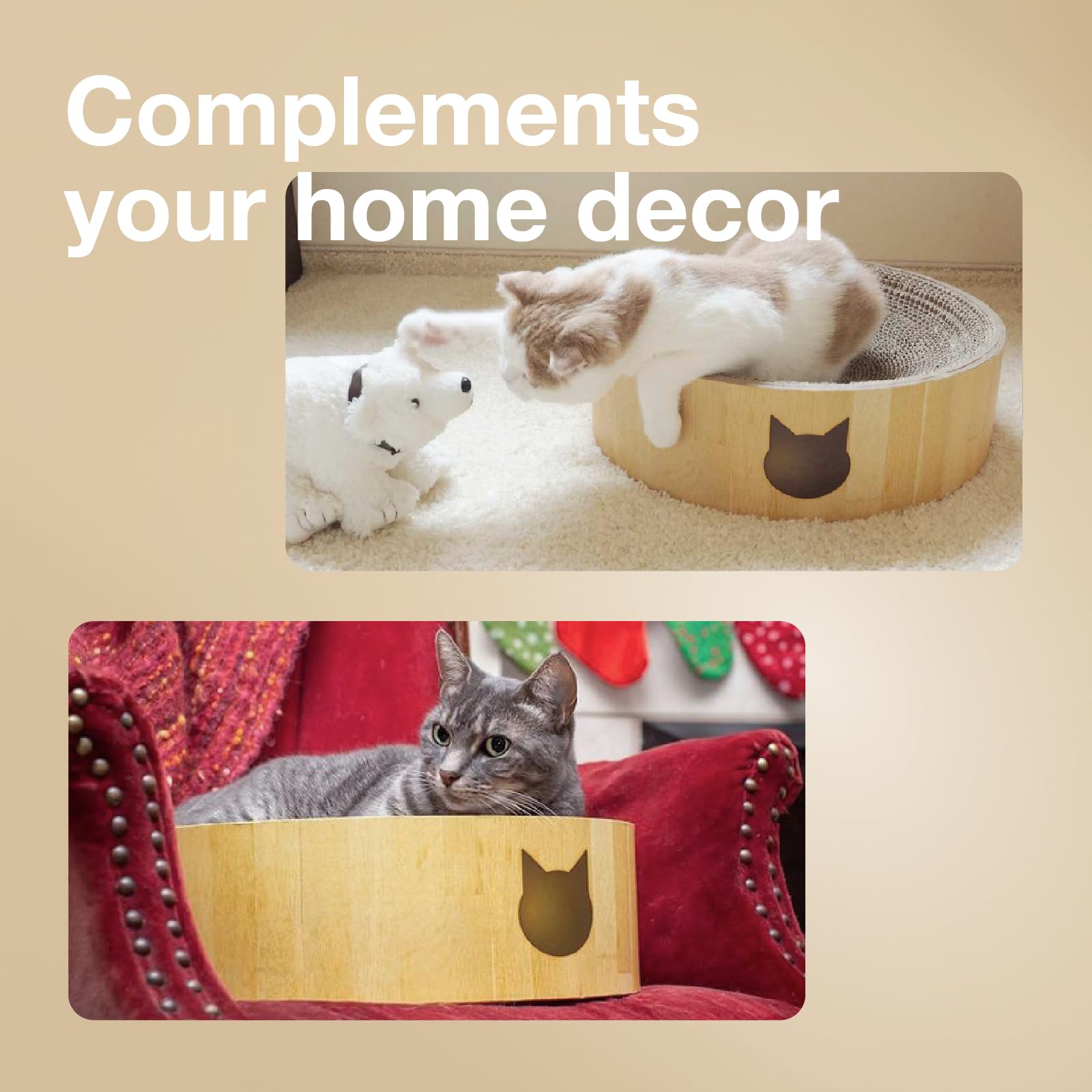 猫壱 comparaison de taille Regular pour évaluer l'échelle par rapport au chat