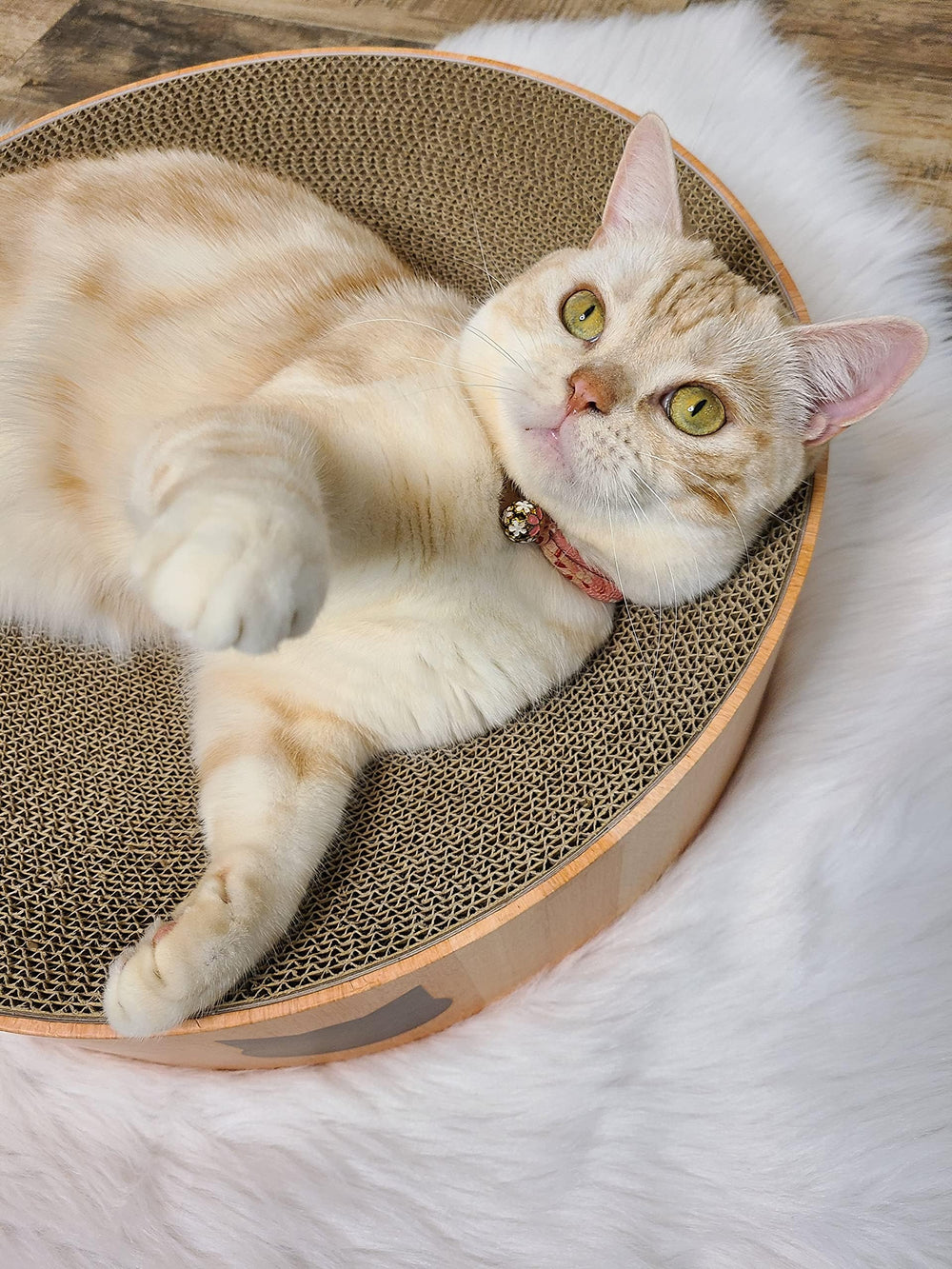 猫壱 dalle de grattage séparée prête à remplacer pour entretien facile
