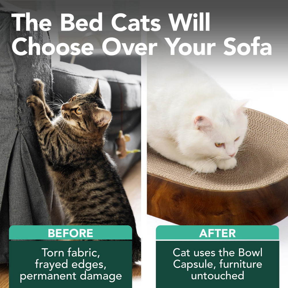 猫壱 Necoichi gros plan du carton strié pour une meilleure usure des griffes