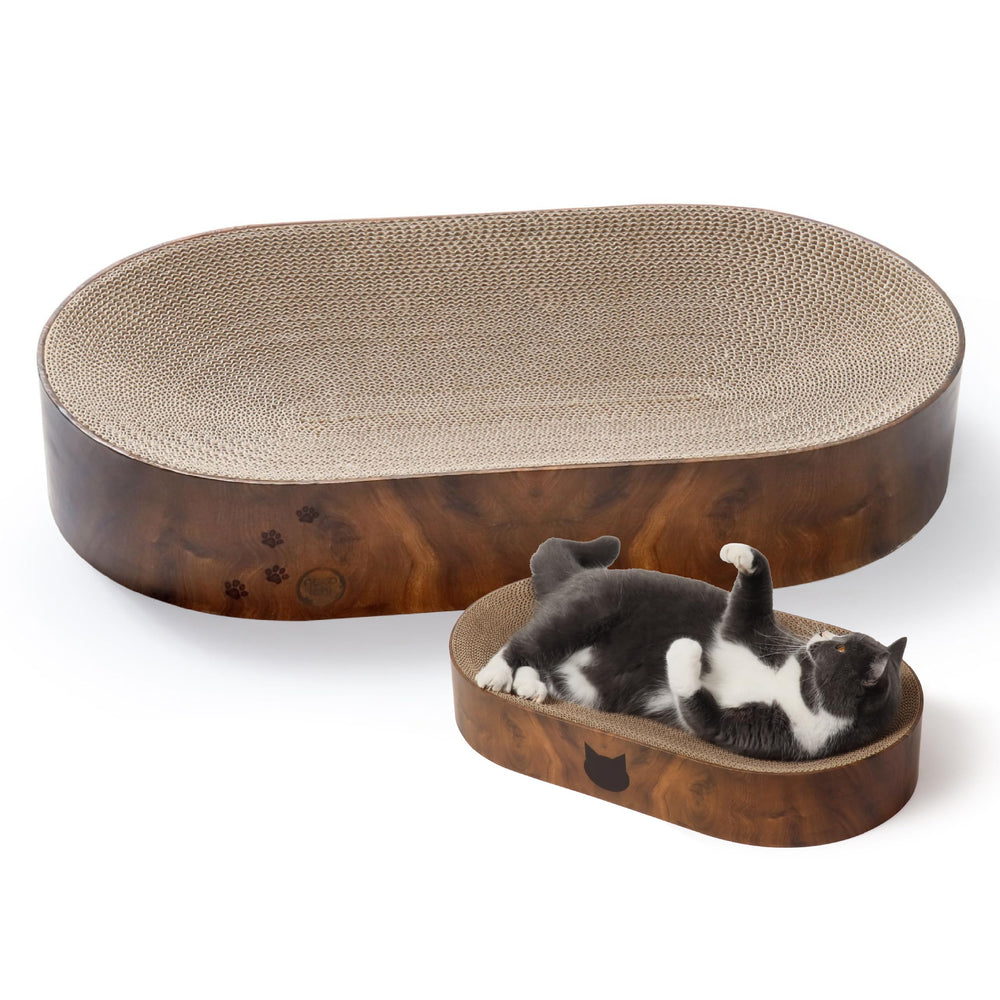猫壱 Necoichi devant l'emballage montrant le produit et son style élégant