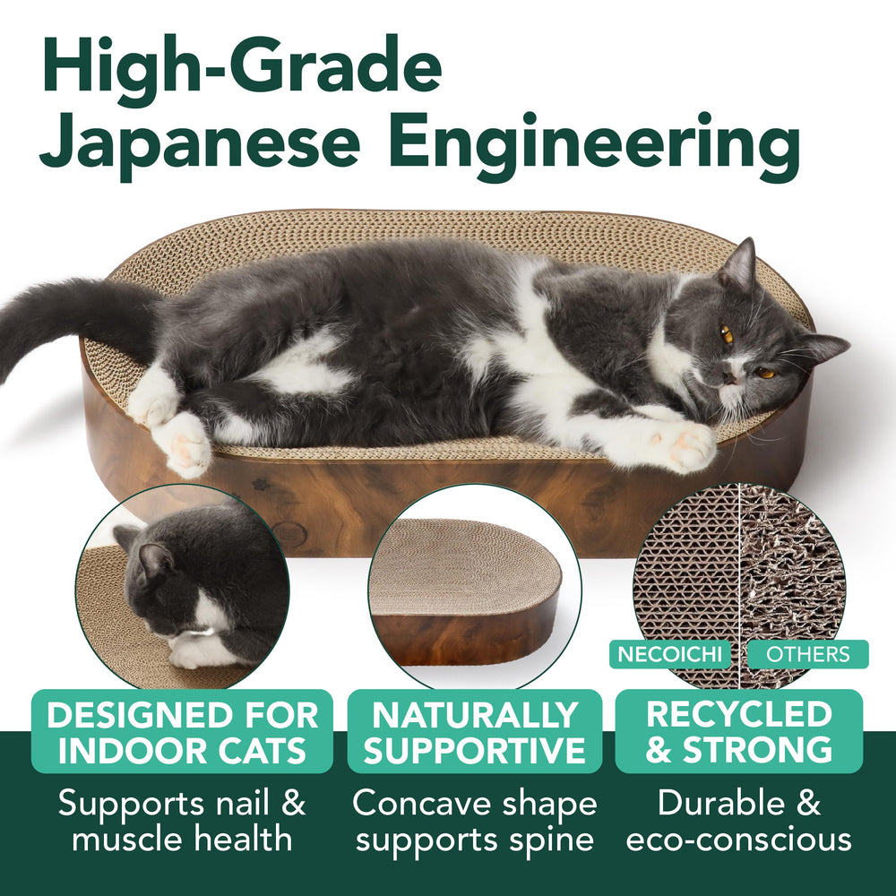 猫壱 Necoichi deux chats détendus dans la capsule montrant capacité partagée
