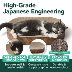 猫壱 Necoichi deux chats détendus dans la capsule montrant capacité partagée