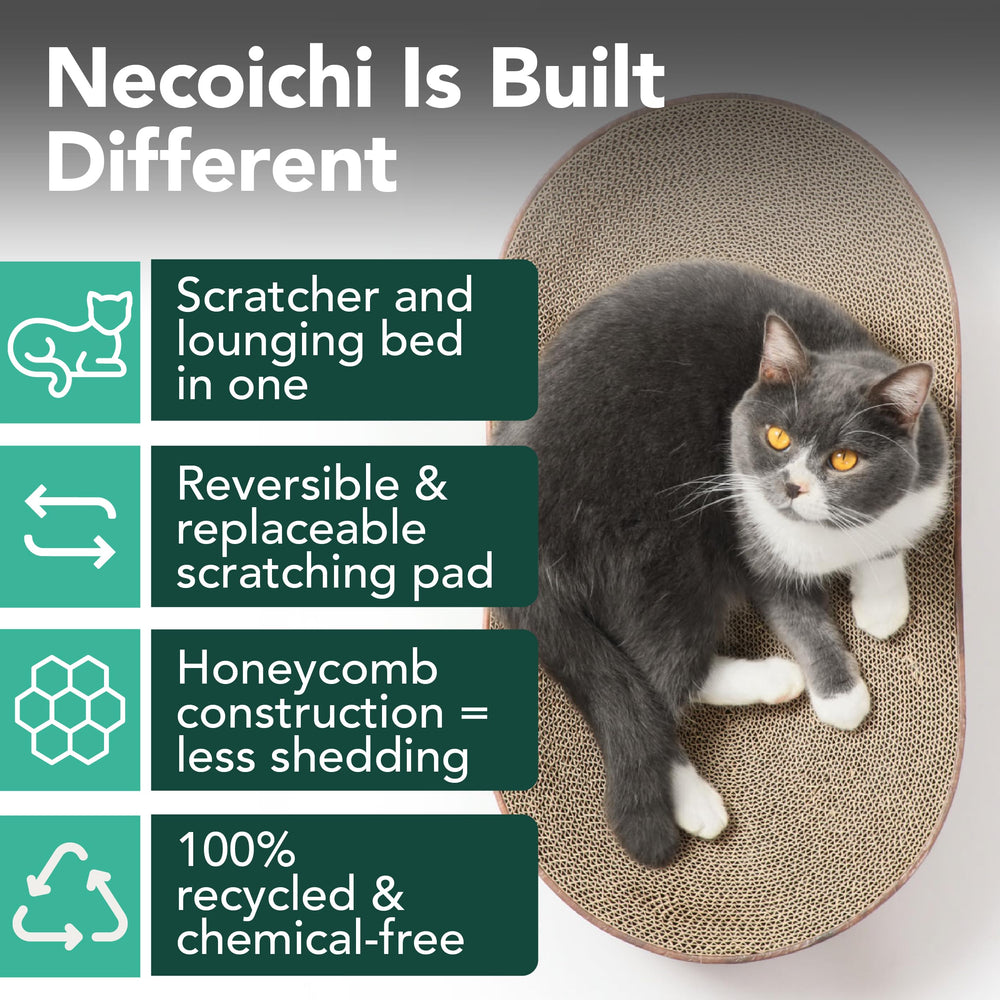 猫壱 Necoichi profil concave illustrant le maintien ergonomique du dos