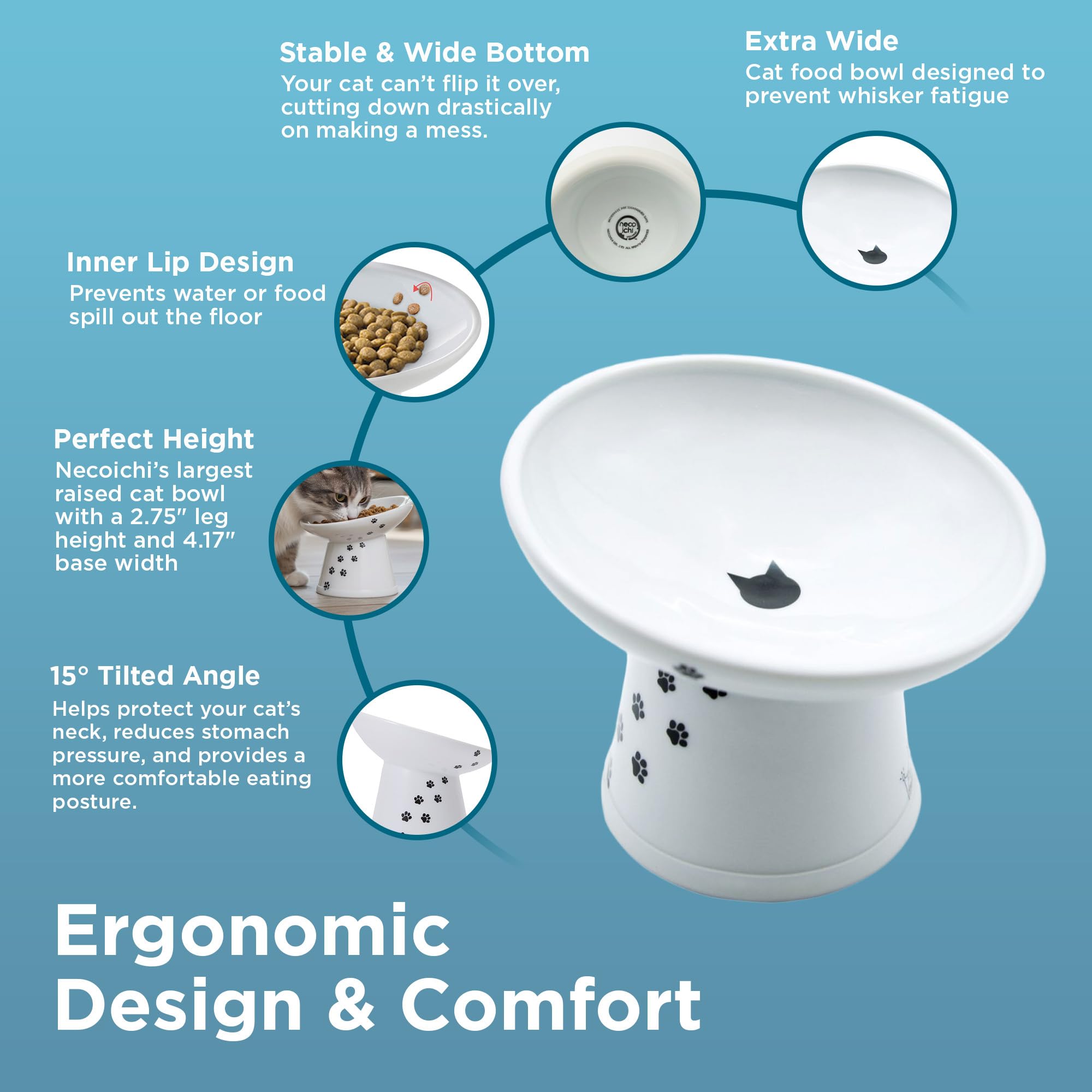 猫壱 comparaison taille avec main, dimensions adaptées aux grandes portions