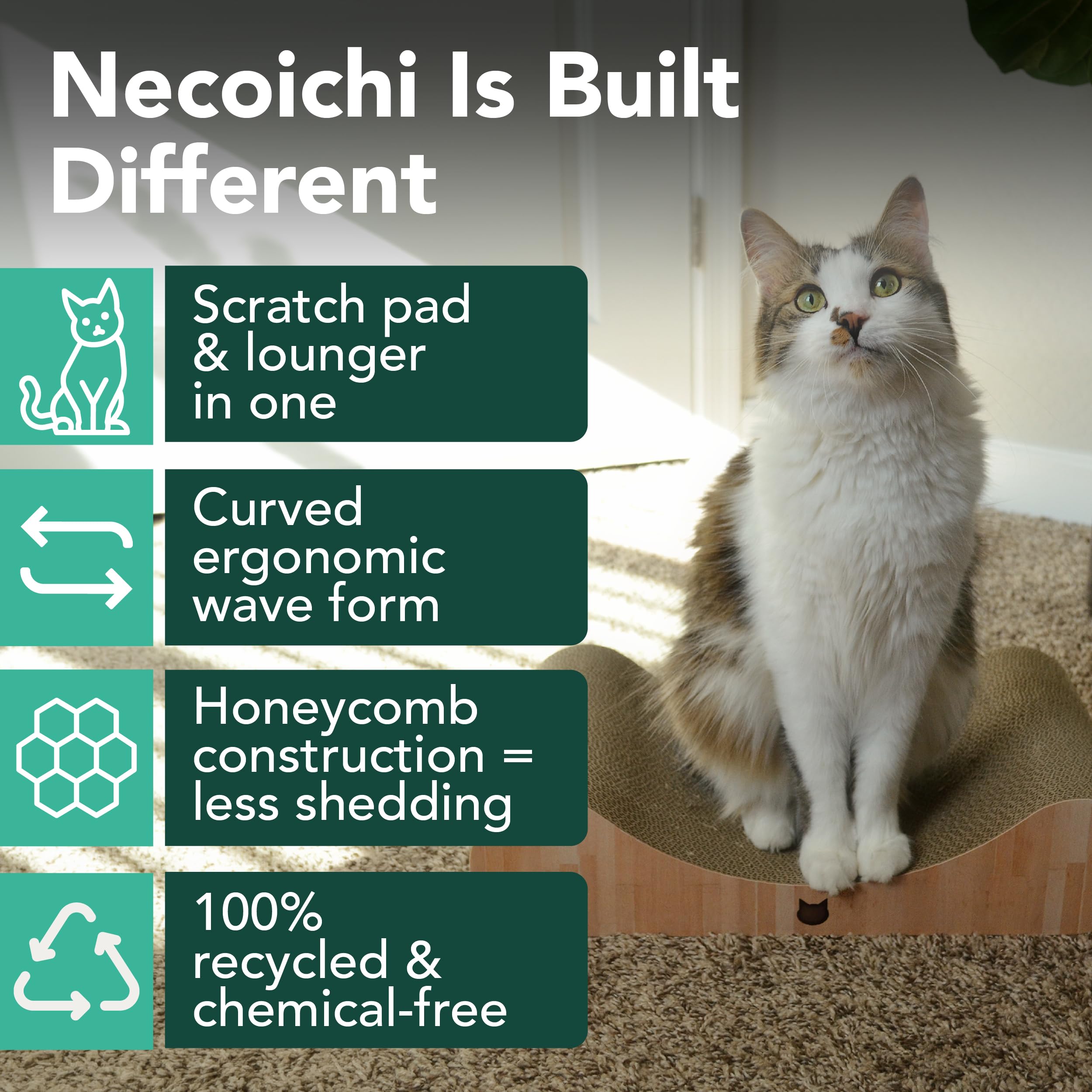 猫壱 Necoichi gros plan texture carton ondulé, surface durable
