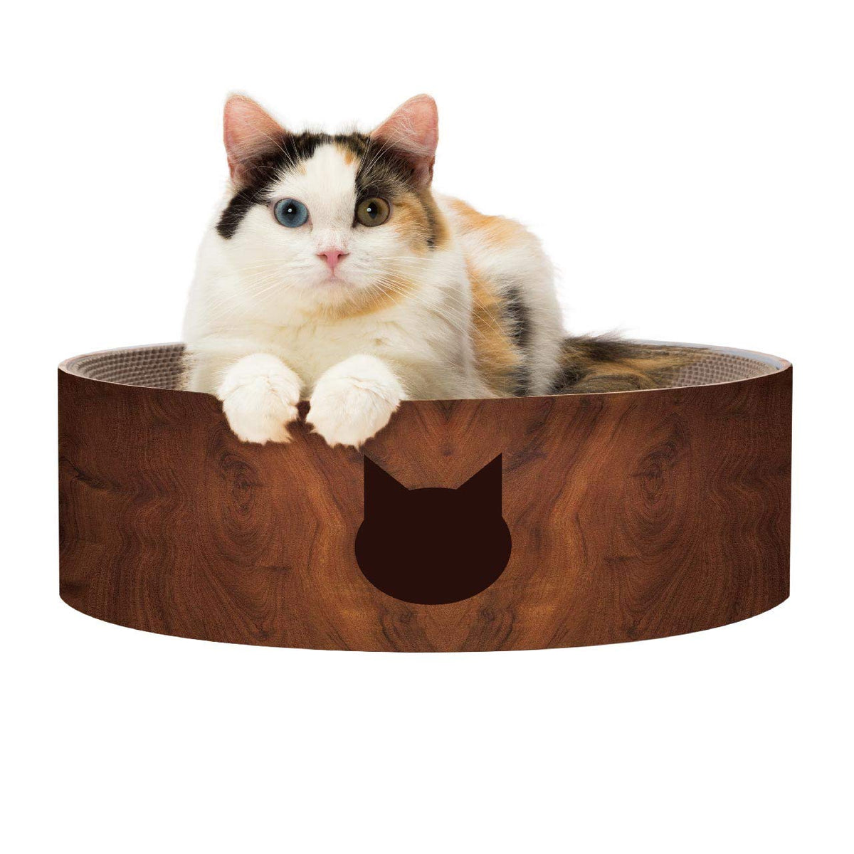 猫壱 necoichi vue de face du bol, design accueillant et gain de confort