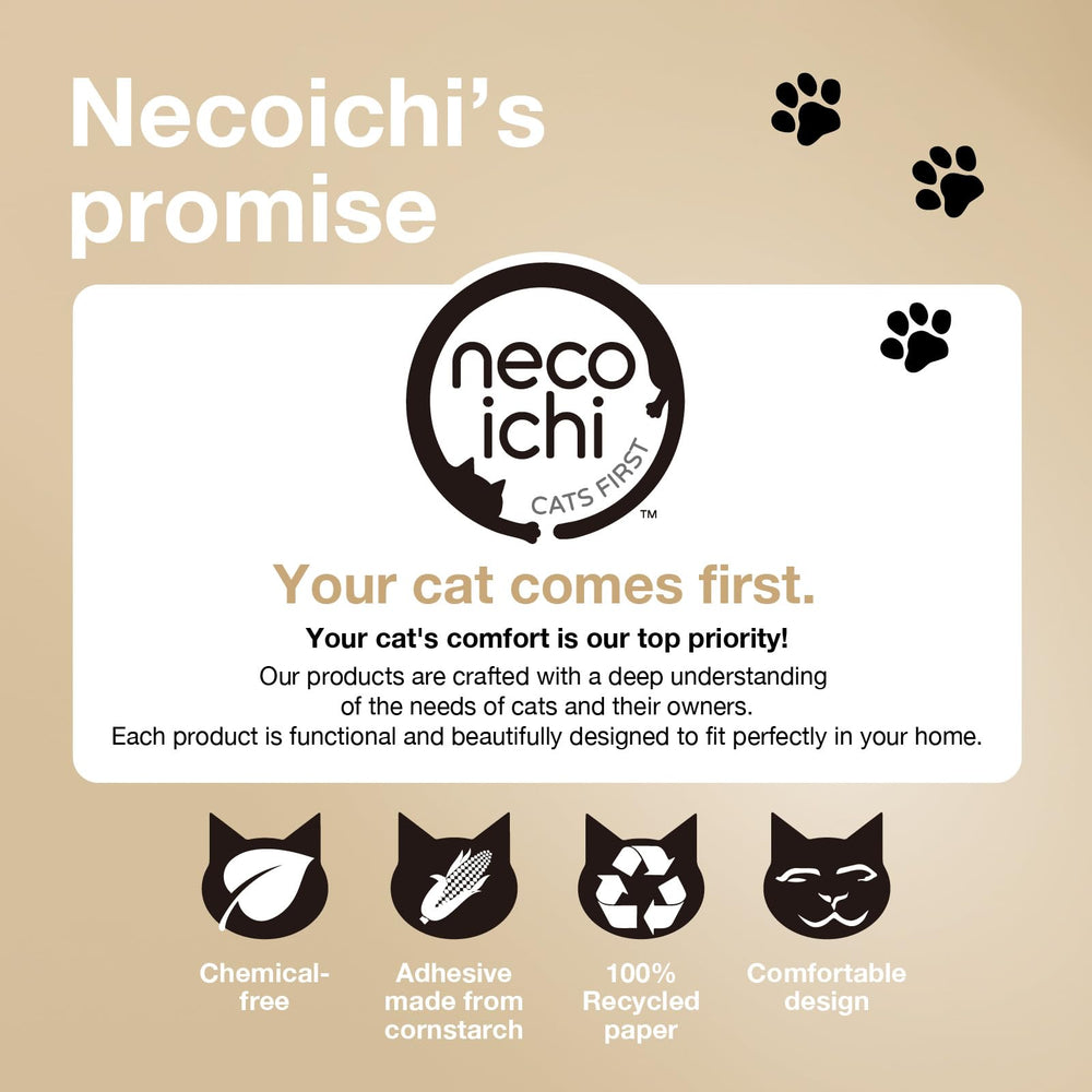 猫壱 necoichi comparaison taille avec objet du quotidien, dimensions claires