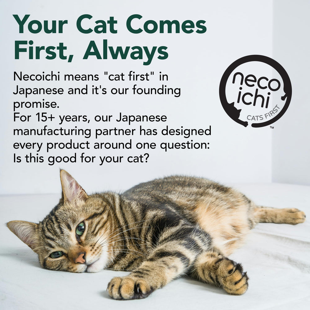 猫壱 Necoichi emballage et étiquette, informations produit claires