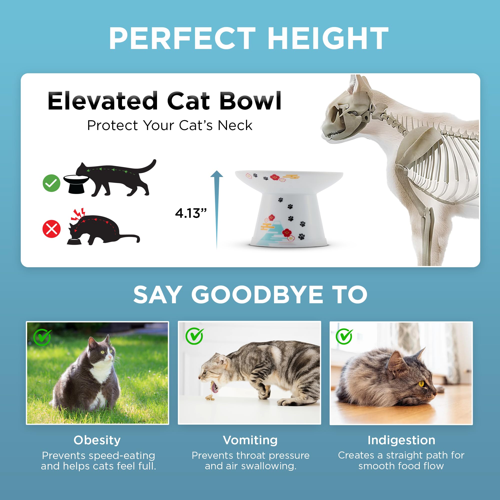 猫壱 chat mange dans le bol Fuji réduction des renversements et confort
