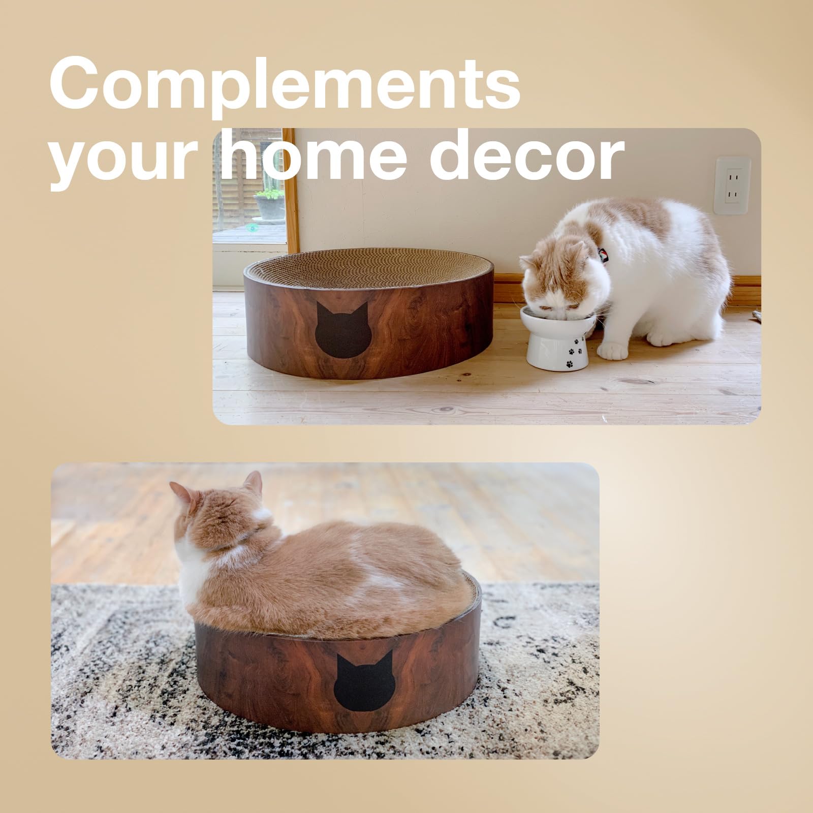 猫壱 necoichi bol posé dans un salon moderne, s’intègre au décor domestique