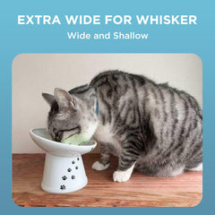 猫壱 gamelle inclinée en situation repas, meilleur accès pour le chat