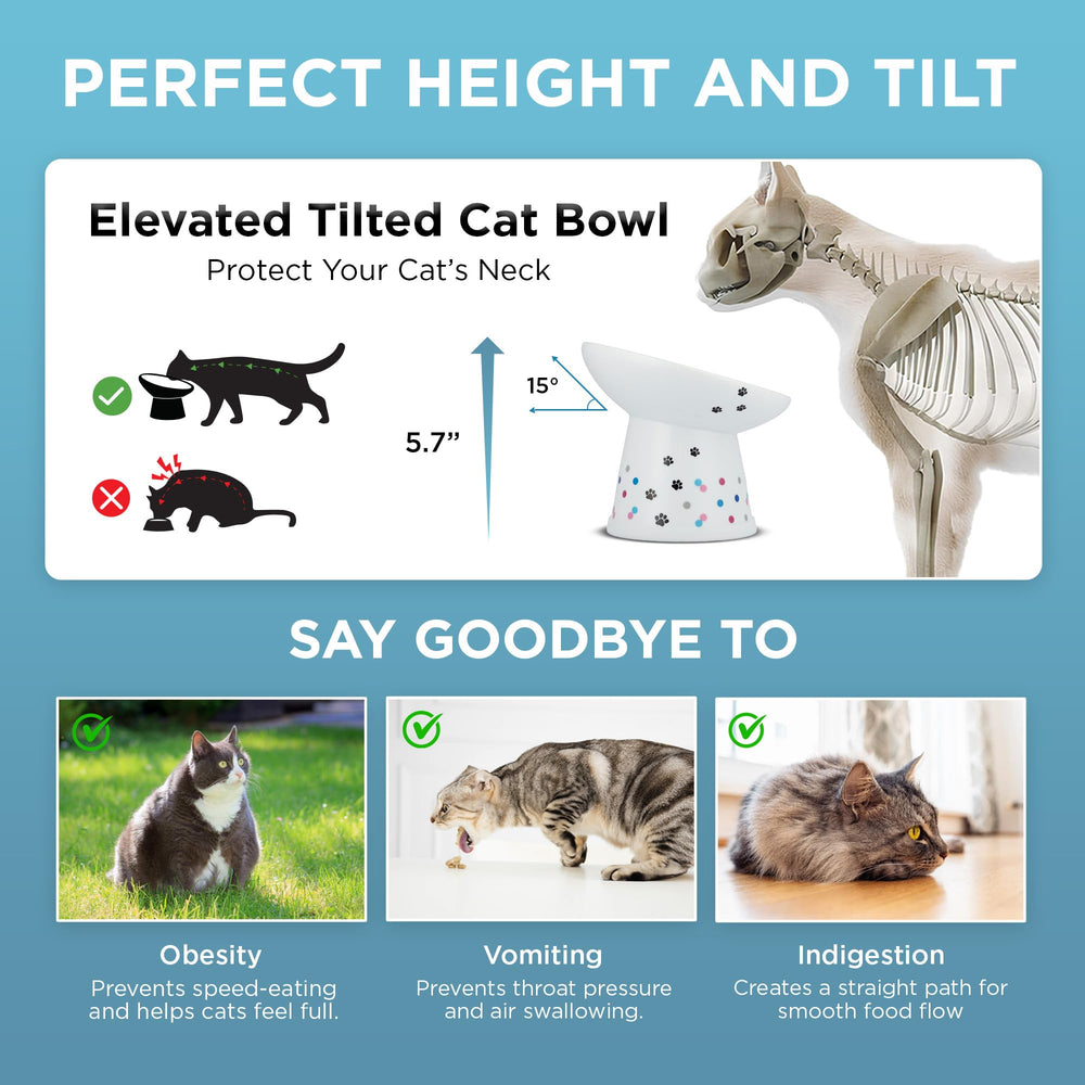 猫壱 Necoichi comparaison taille, montre capacité généreuse pour chats adultes