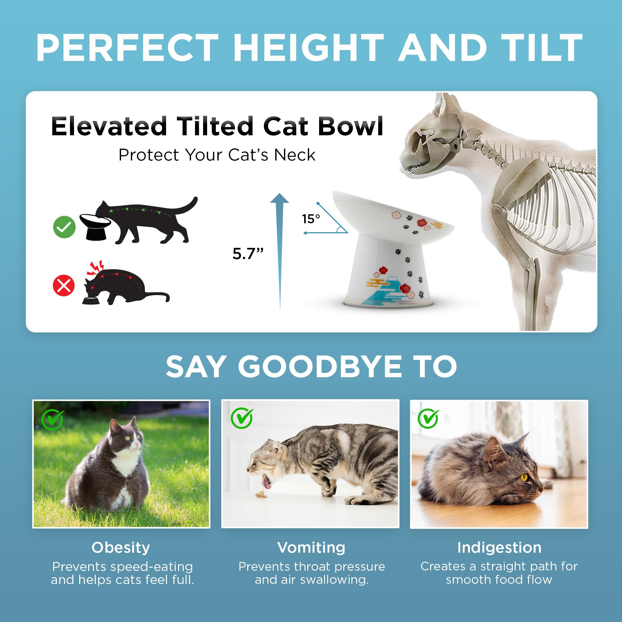 猫壱 Necoichi comparaison taille avec règle pour évaluer l'encombrement