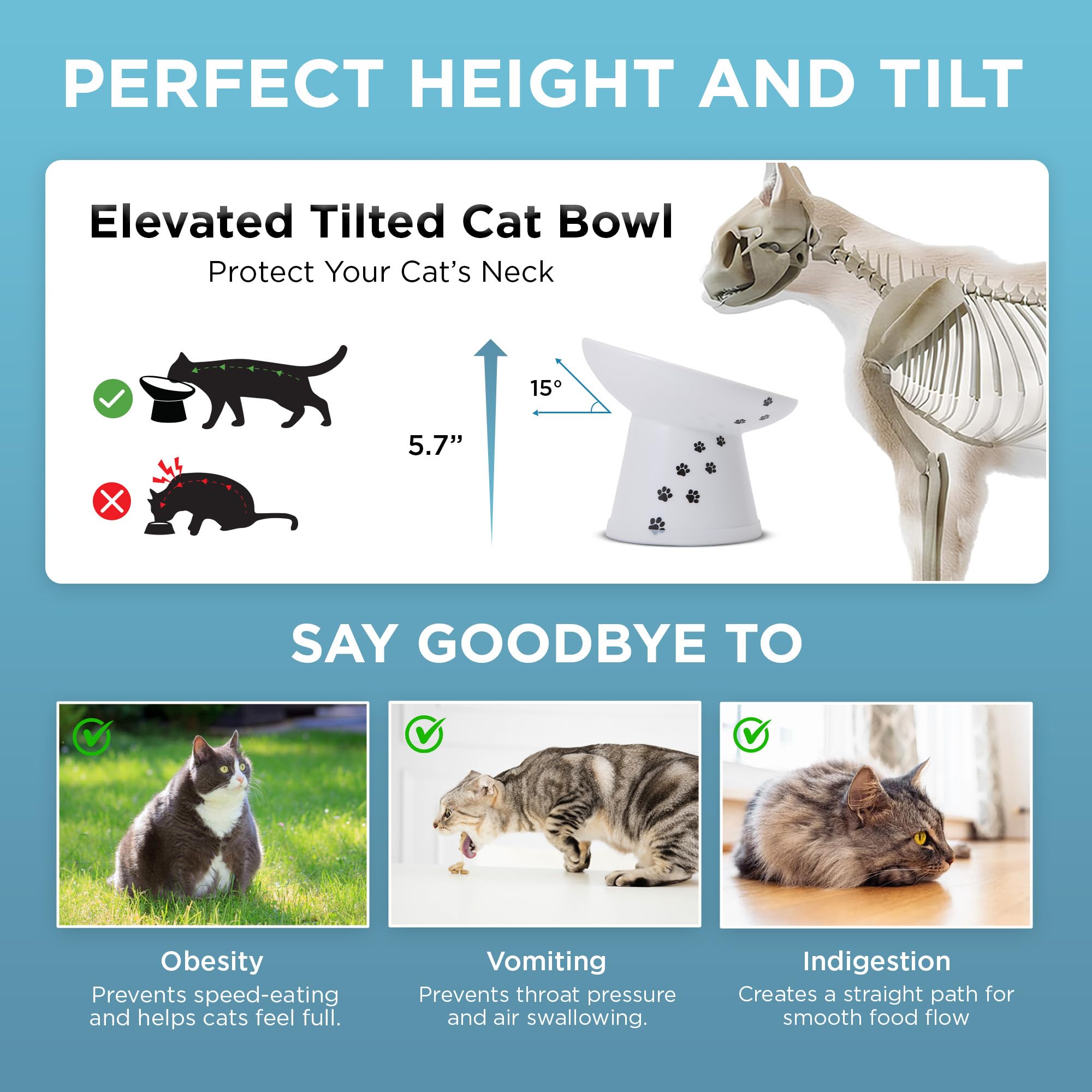 猫壱 profil 15 degrés montrant inclinaison ergonomique bénéfique