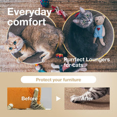 猫壱 necoichi pastille réversible, double surface pour durer plus longtemps