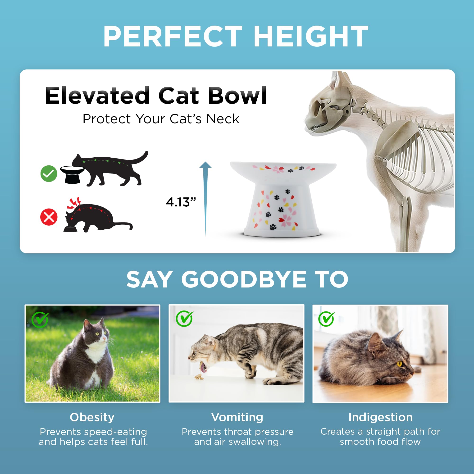 猫壱 Necoichi chat à face plate mangeant confortablement dans le bol