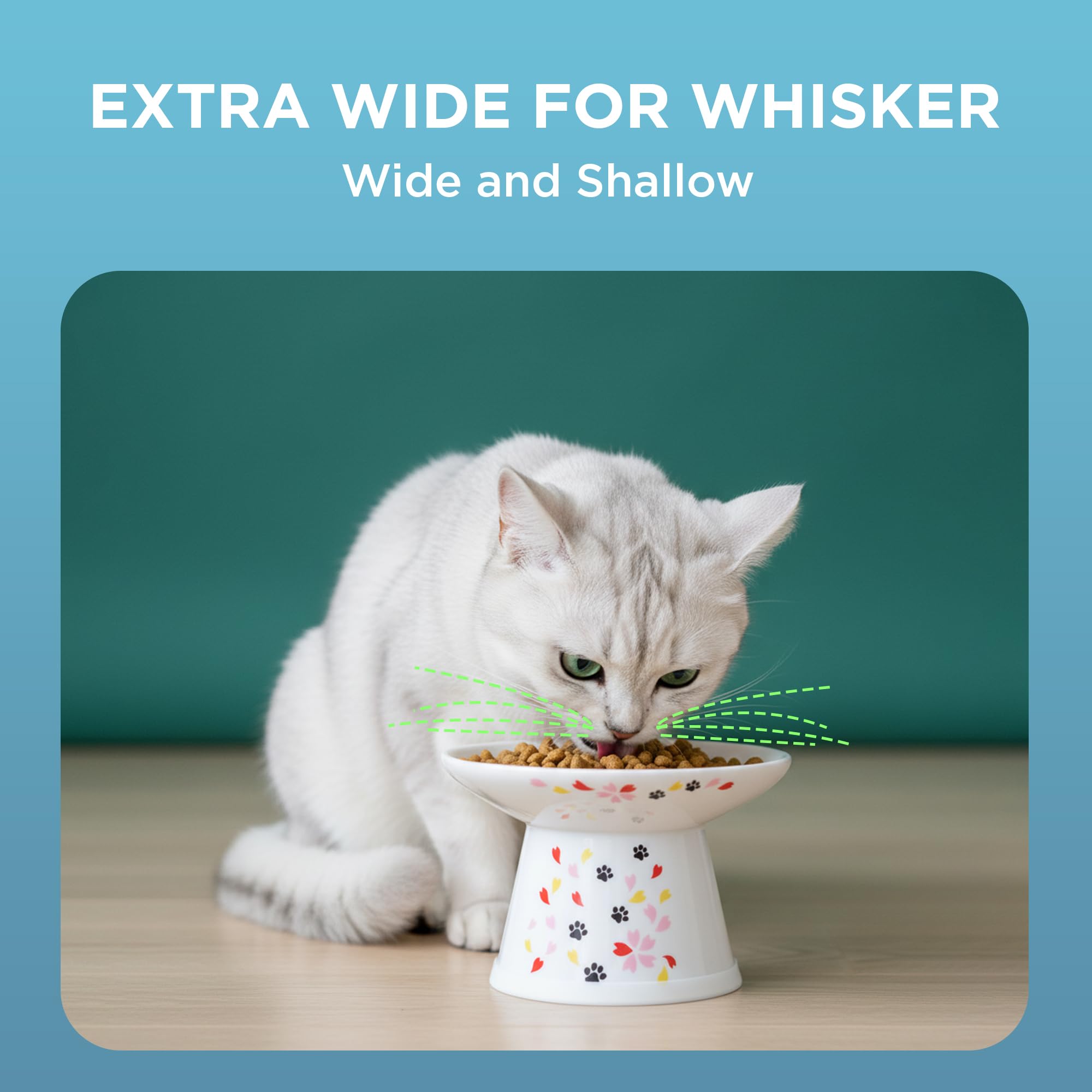 猫壱 Necoichi comparaison d'échelle avec une tasse pour visualiser la taille