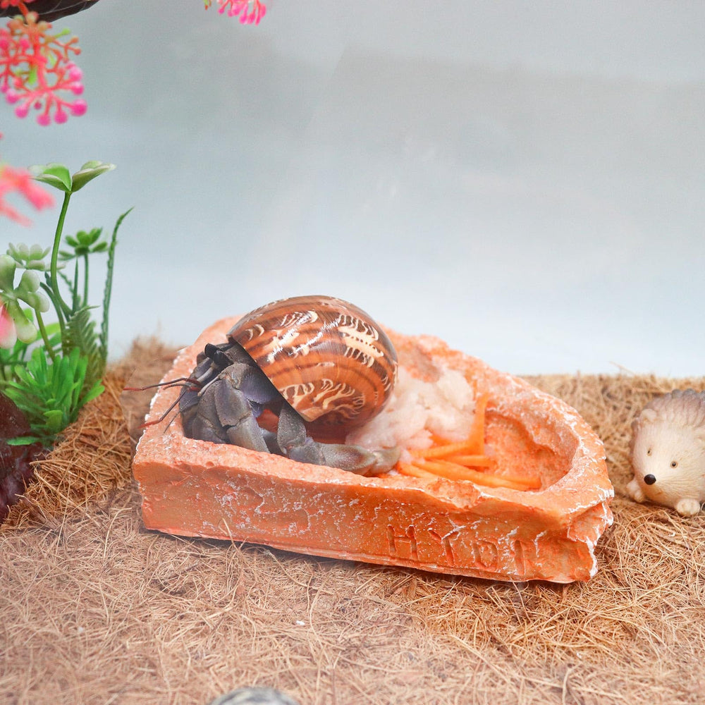 Neeenn bol en usage avec gecko, facilite alimentation et hydratation