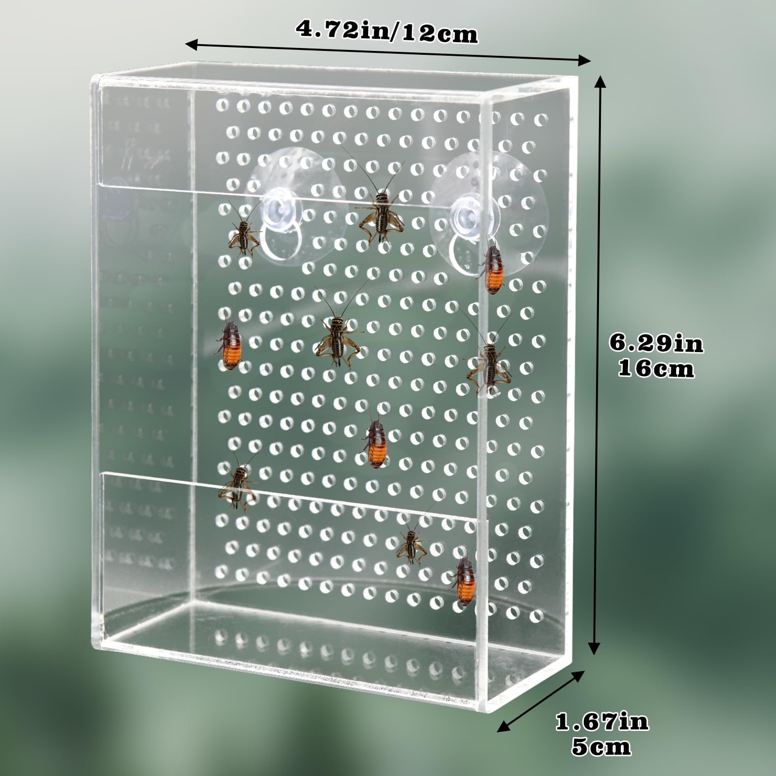 Neeenn nettoyage à l'eau montrant l'acrylique facile à laver pour une hygiène rapide