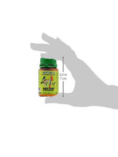 Nekton étiquette composition détaillée, vitamines et acides aminés visibles