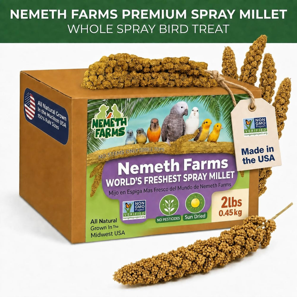 Nemeth Farms gros plan sur les panicules pour voir graines et texture avantage naturel