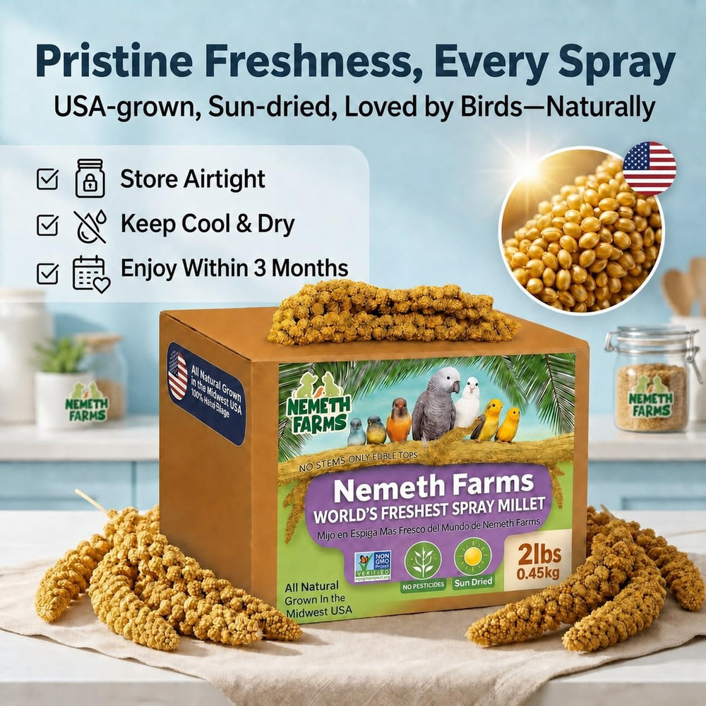 Nemeth Farms détail de la texture et des graines pour appétit et durée de picorage
