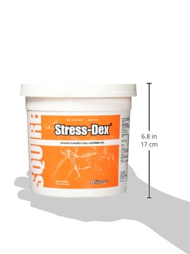 Neogen Stress-Dex poudre texture gros plan montrant grains fins pour dissolution rapide