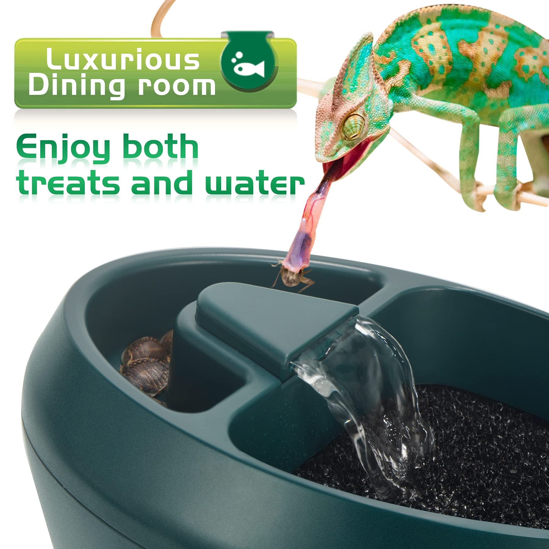 NEPTONION fontaine en action avec eau courante augmentant l'humidité
