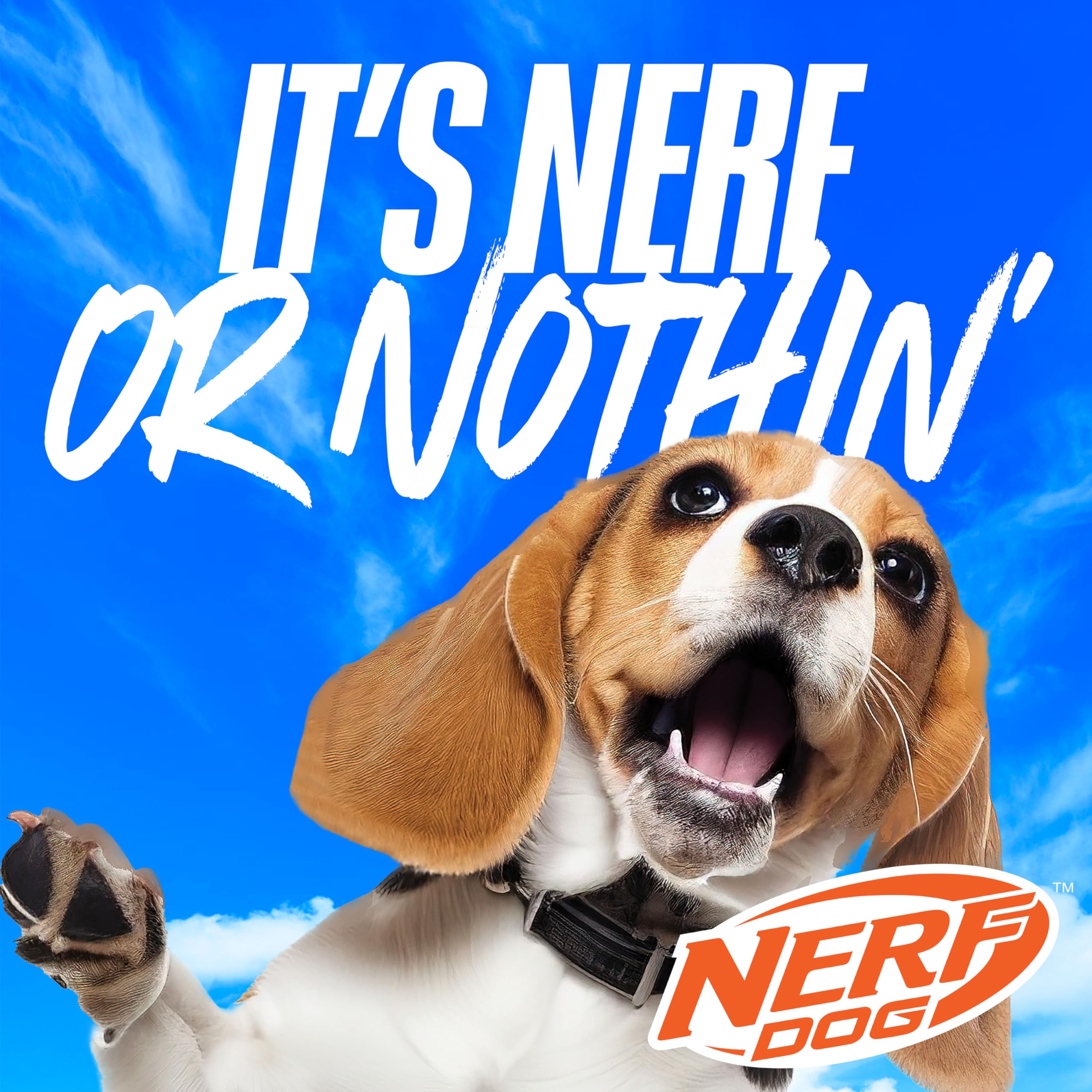 Nerf Dog comparaison de taille posée près d'une main pour repère d'échelle