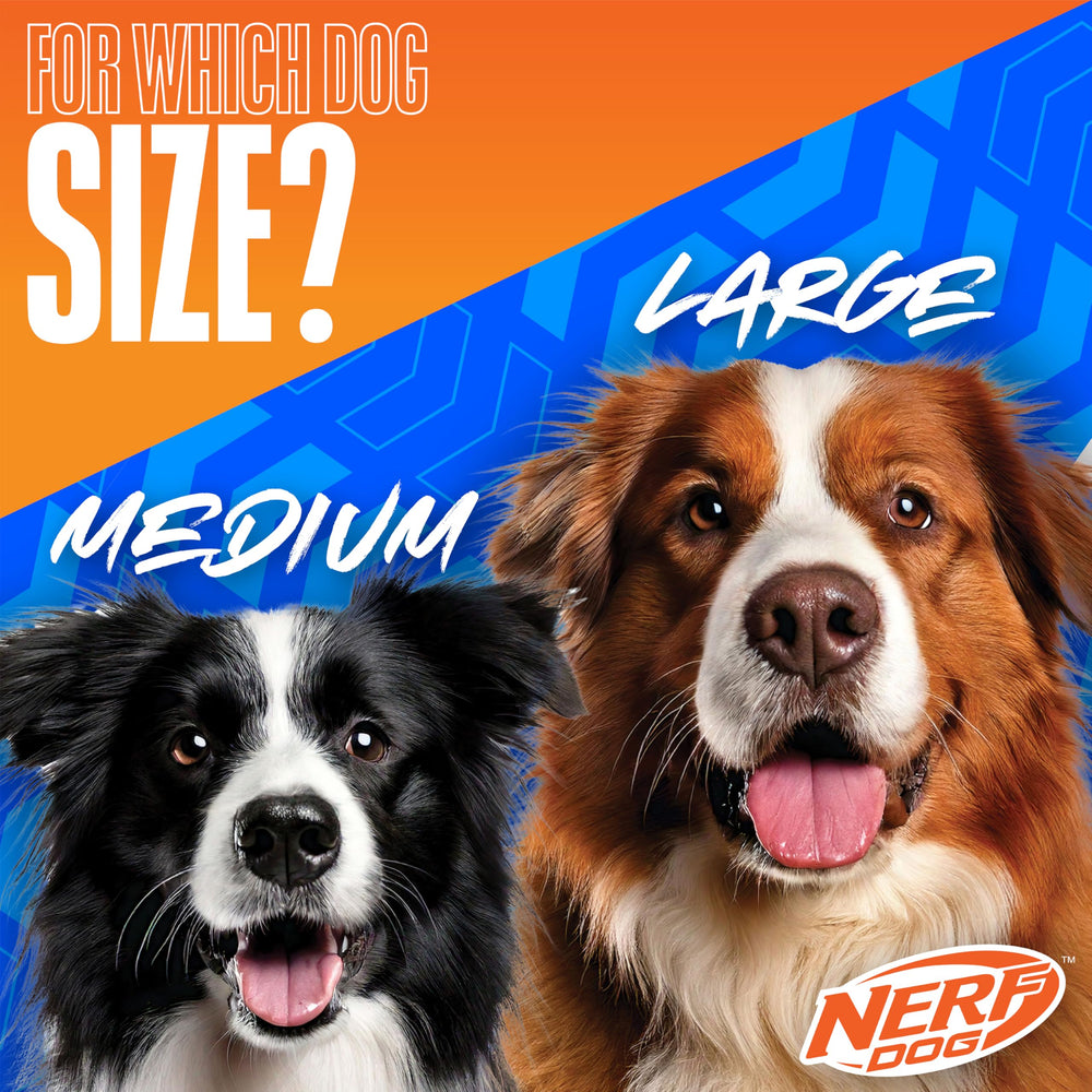 Nerf Dog tenue en main démontrant la légèreté et la facilité d'utilisation