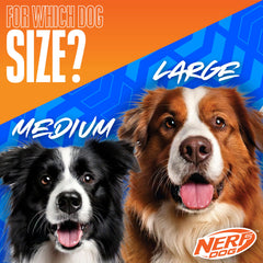 Nerf Dog tenue en main démontrant la légèreté et la facilité d'utilisation