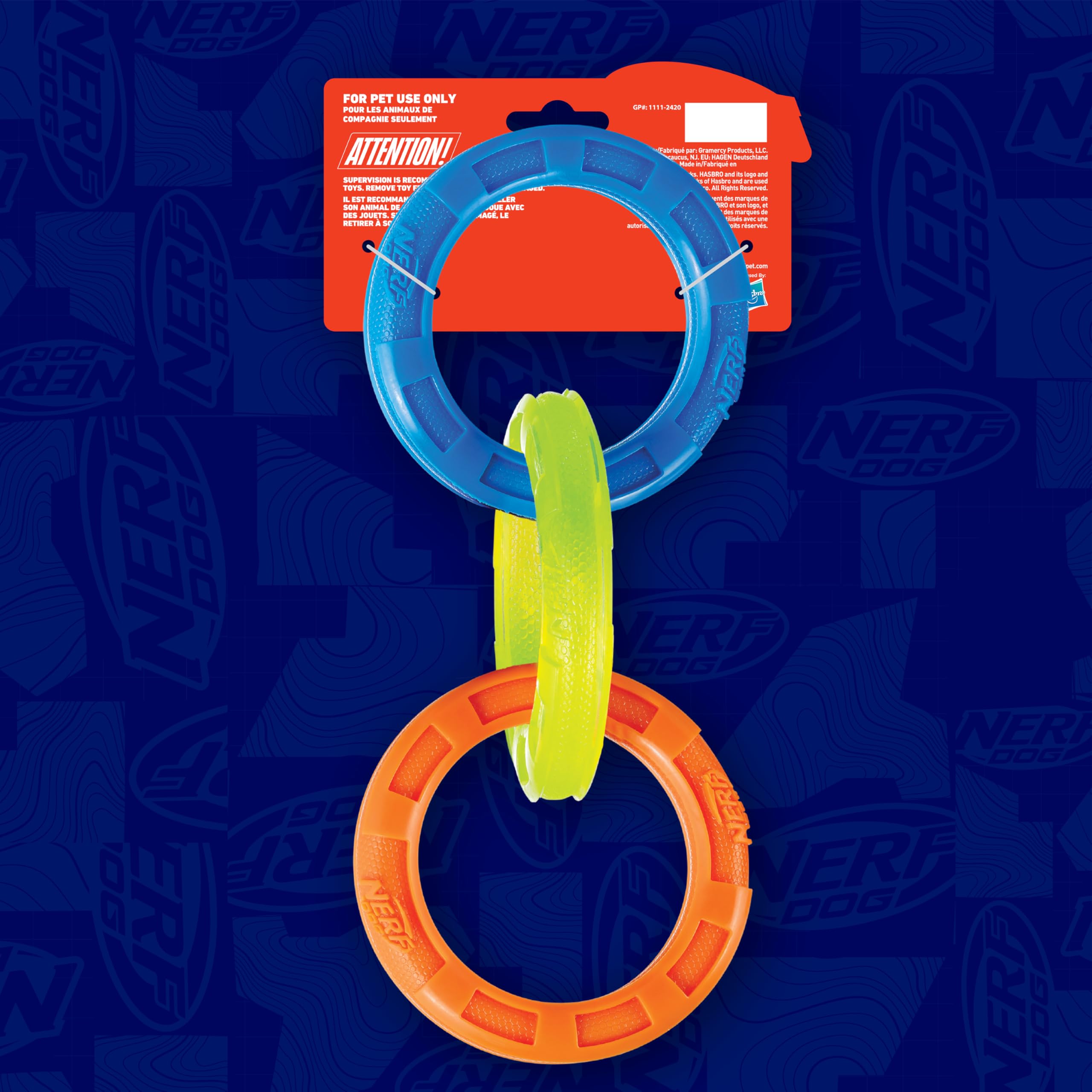 Nerf Dog scène de famille jouant dehors montrant plaisir et interaction canine