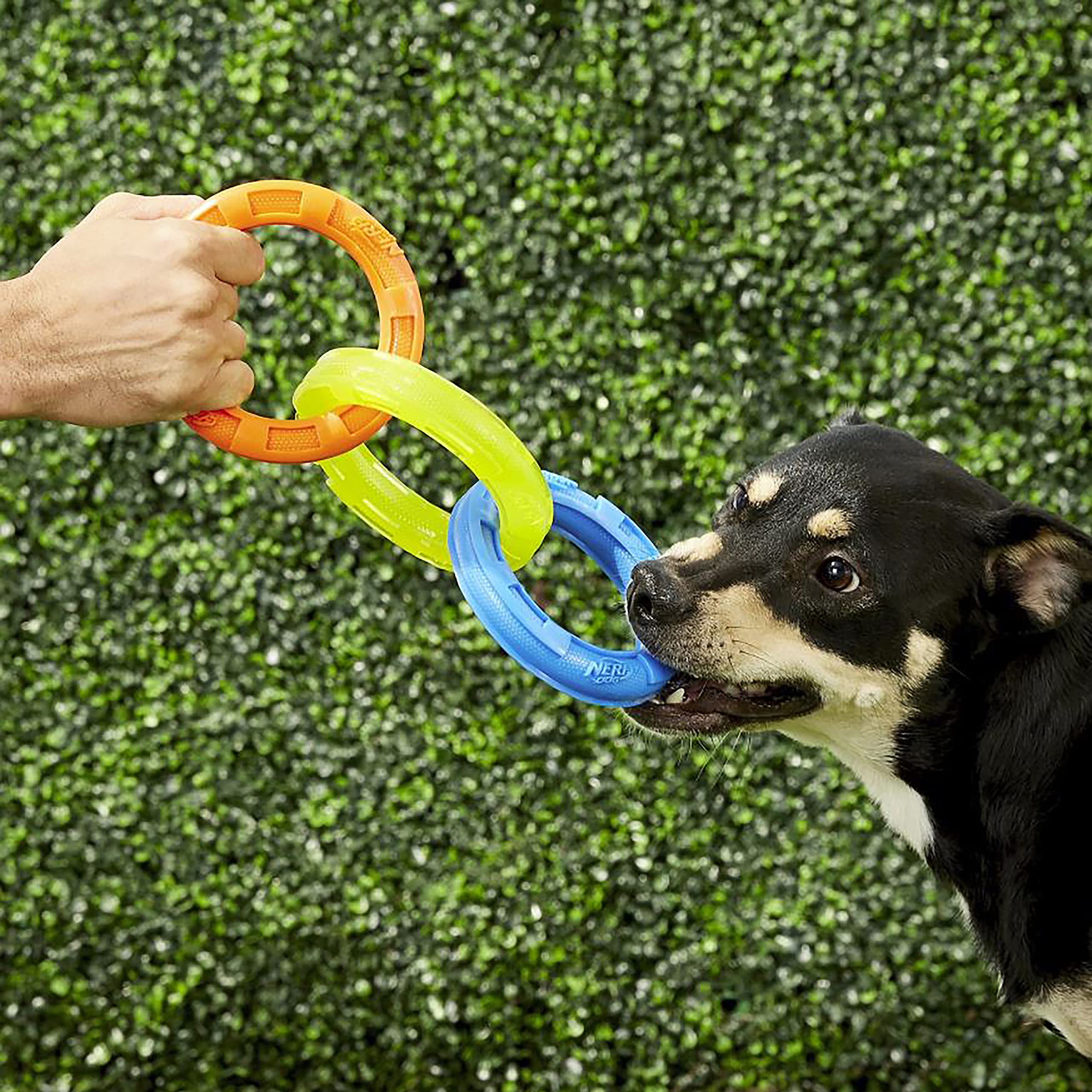 Nerf Dog gros plan sur la texture crantée pour masser gencives et prolonger la durée de jeu