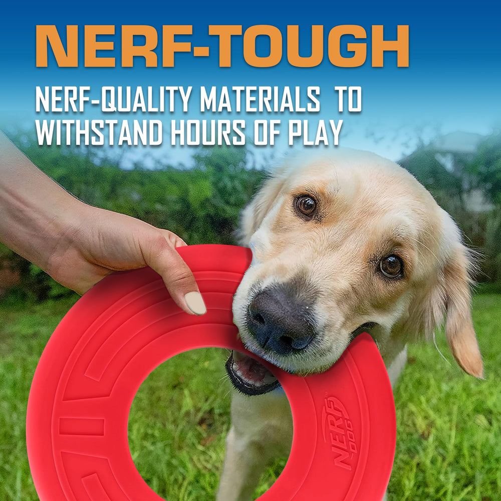 Nerf Dog chien rapportant le disque montrant l’engagement et l’exercice