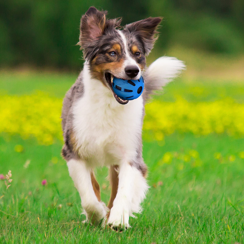 Nerf Dog gros plan du caoutchouc résistant montrant texture et durabilité