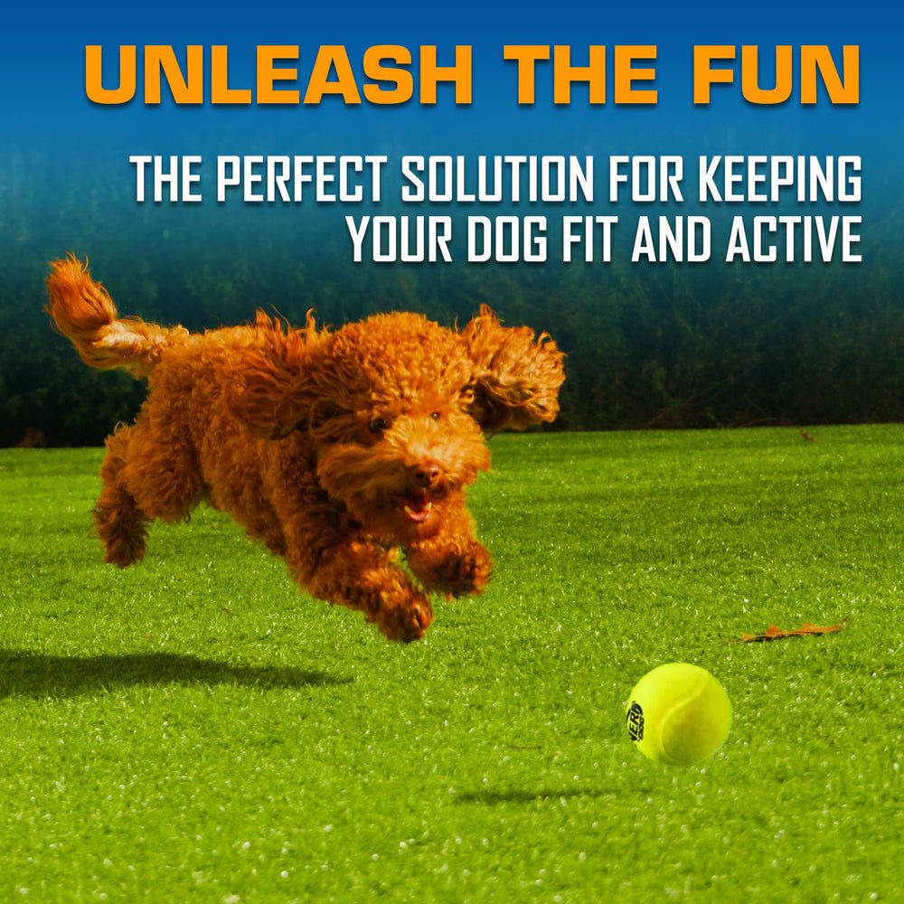 Nerf Dog trois balles incluses couleur vive pour meilleure visibilité