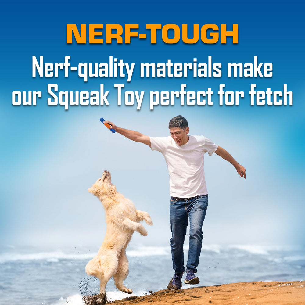 Nerf Dog chien attrapant le bâton en vol pour entraînement efficace
