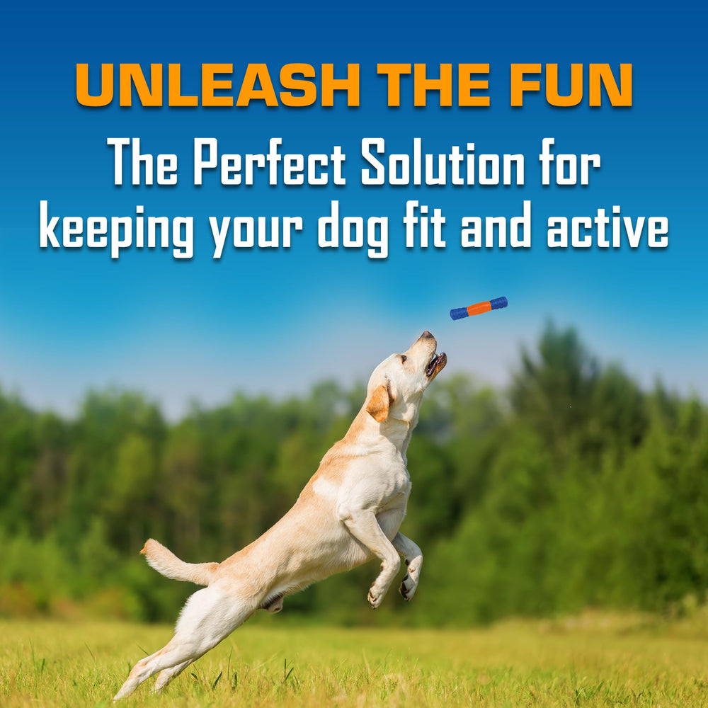 Nerf Dog coupe du produit révélant sifflet interne stimulant le jeu