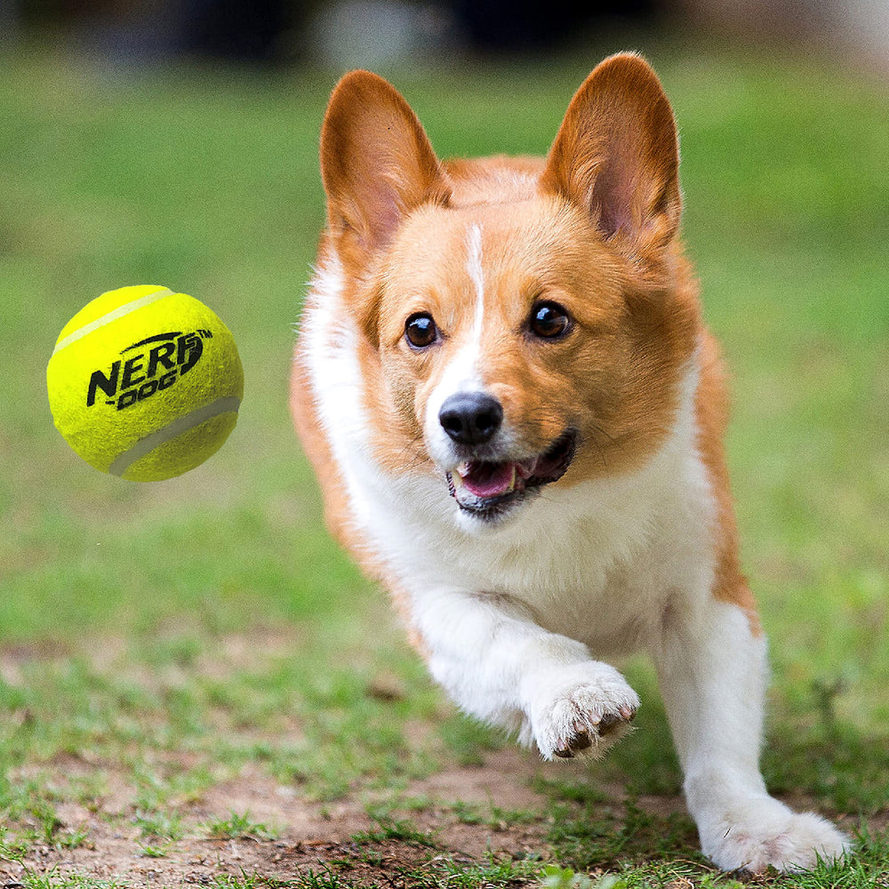 Nerf Dog gros plan sur texture et poignée ergonomique durable
