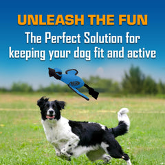 Nerf Dog détail revêtement polyuréthane résistant offrant protection