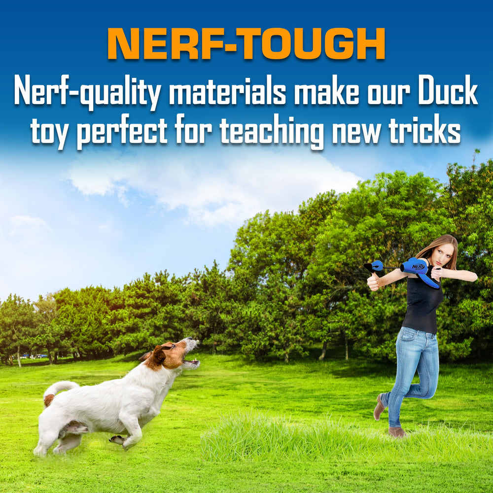 Nerf Dog canard en vol après lancement montrant distance maximale