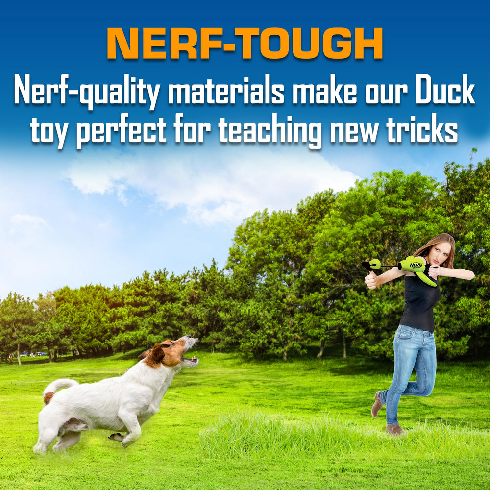 Nerf Dog chien rapportant montrant prise confortable et avantage jeu actif