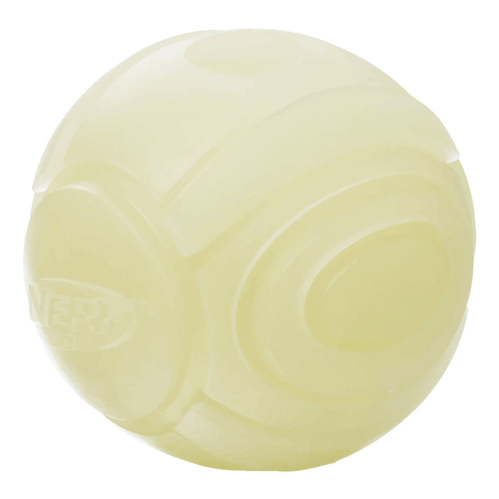 Nerf Dog comparaison taille avec main et patte pour évaluer adaptation