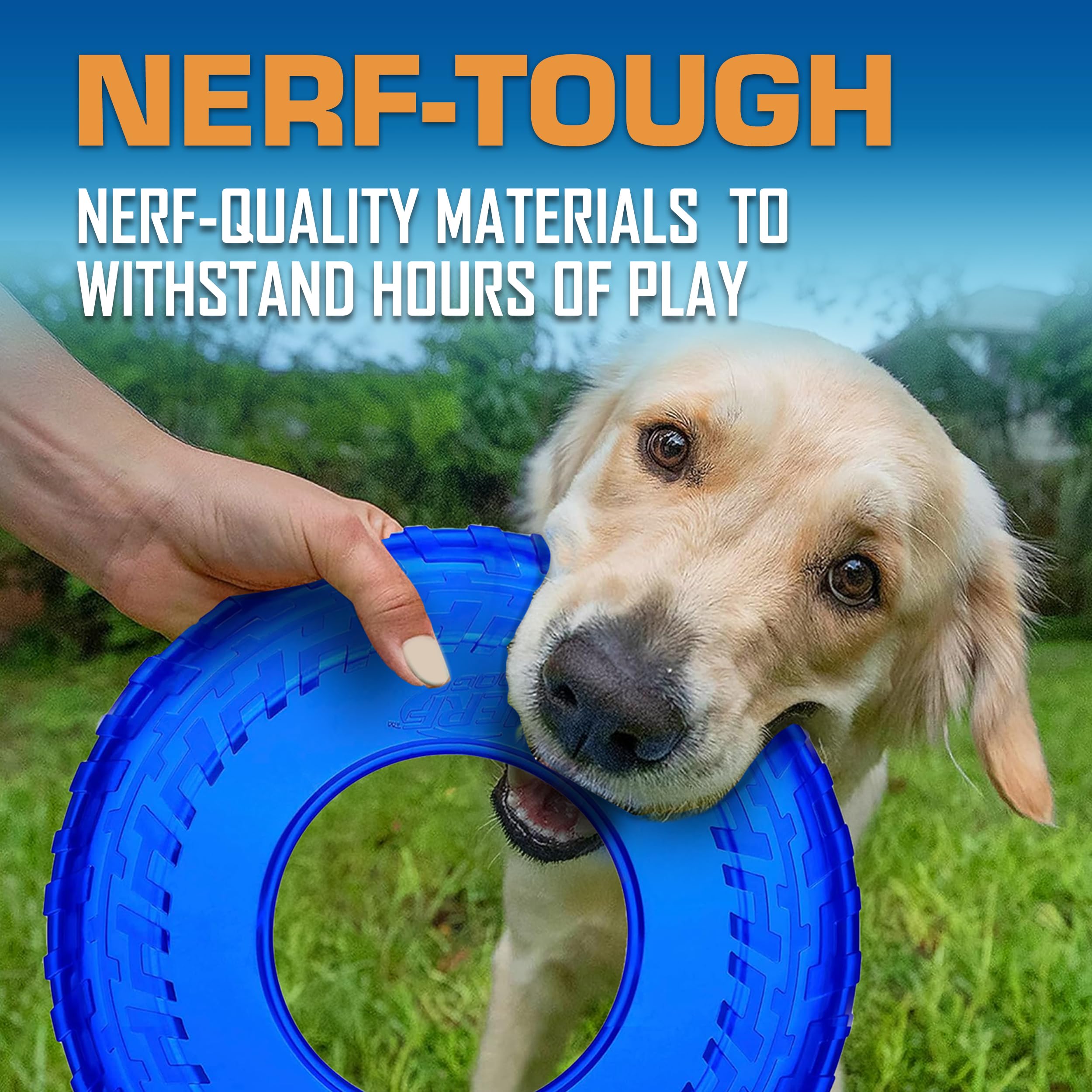 Nerf Dog disque lancé à la plage pour jeu nautique sécurisé
