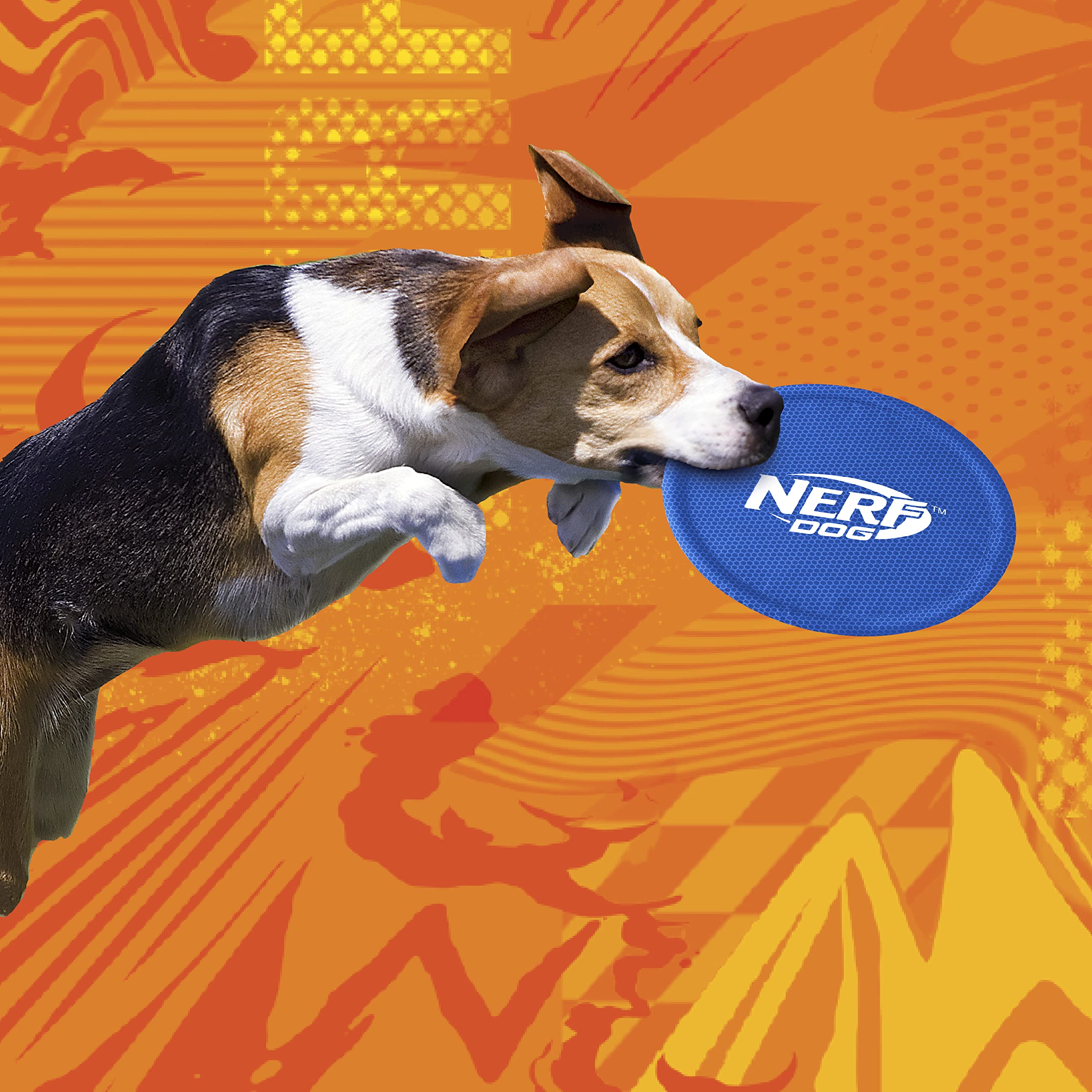 Nerf Dog disque flottant sur l'eau idéal pour plage lac et piscine
